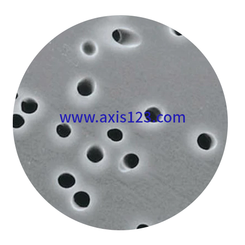 Membrane Filter (PC-TEM)